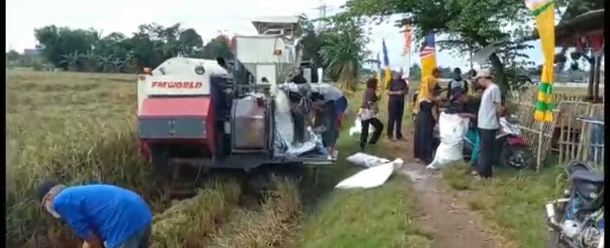 Mesin Combine Bantu Kelompok Tani Hasilkan Panen Lebih Efisien