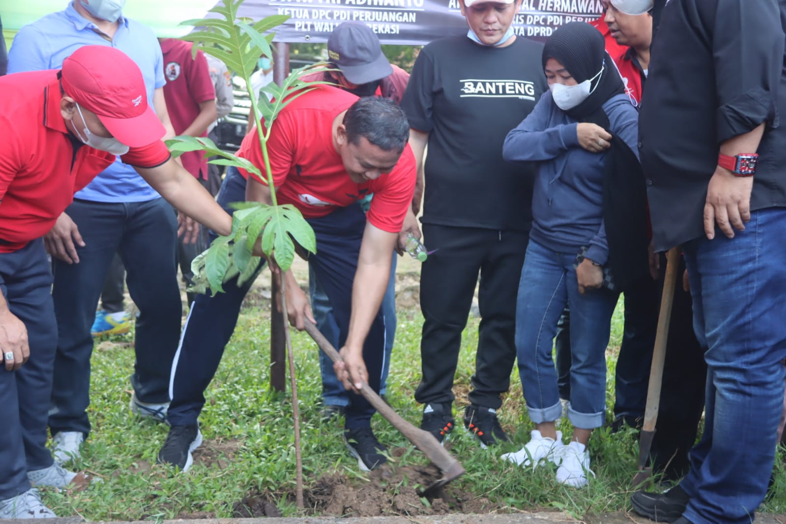 PLT WALI KOTA BEKASI TANAM 1000 POHON SUKUN SECARA SIMBOLIS