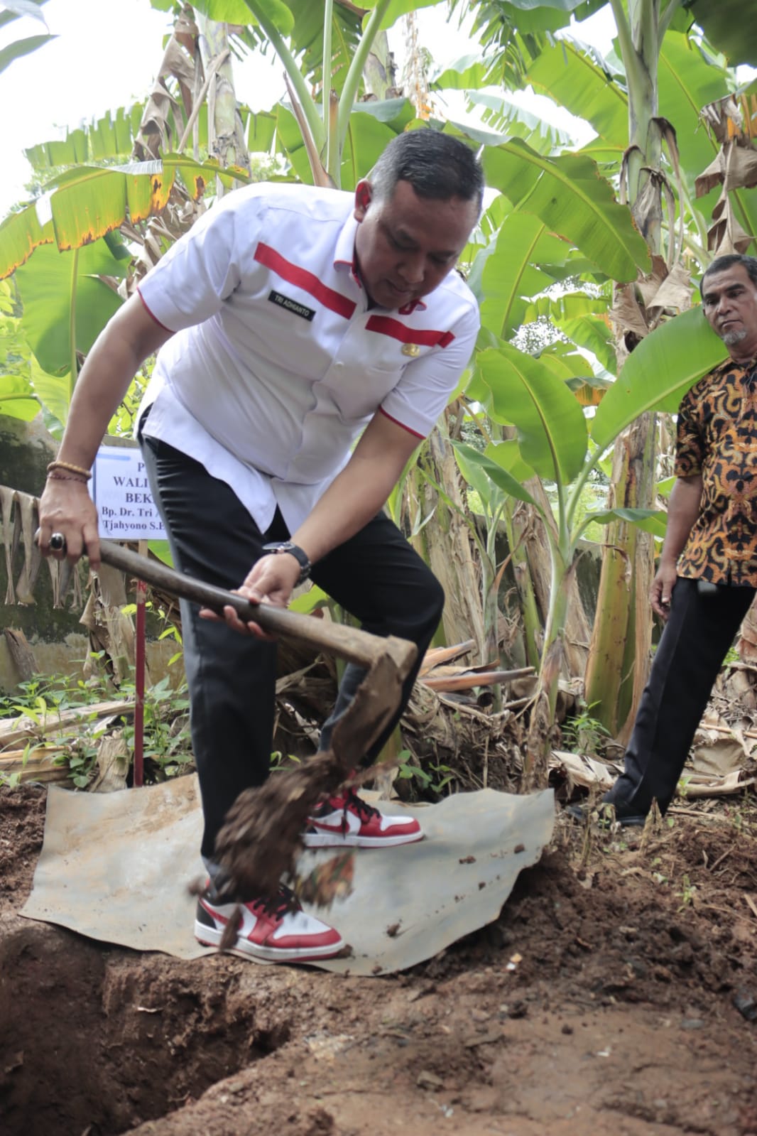 Optimalkan Penghijauan dan Pemenuhan Pangan, Tri Bersama Warga Villa Jatirasa Tanam Bibit Sukun