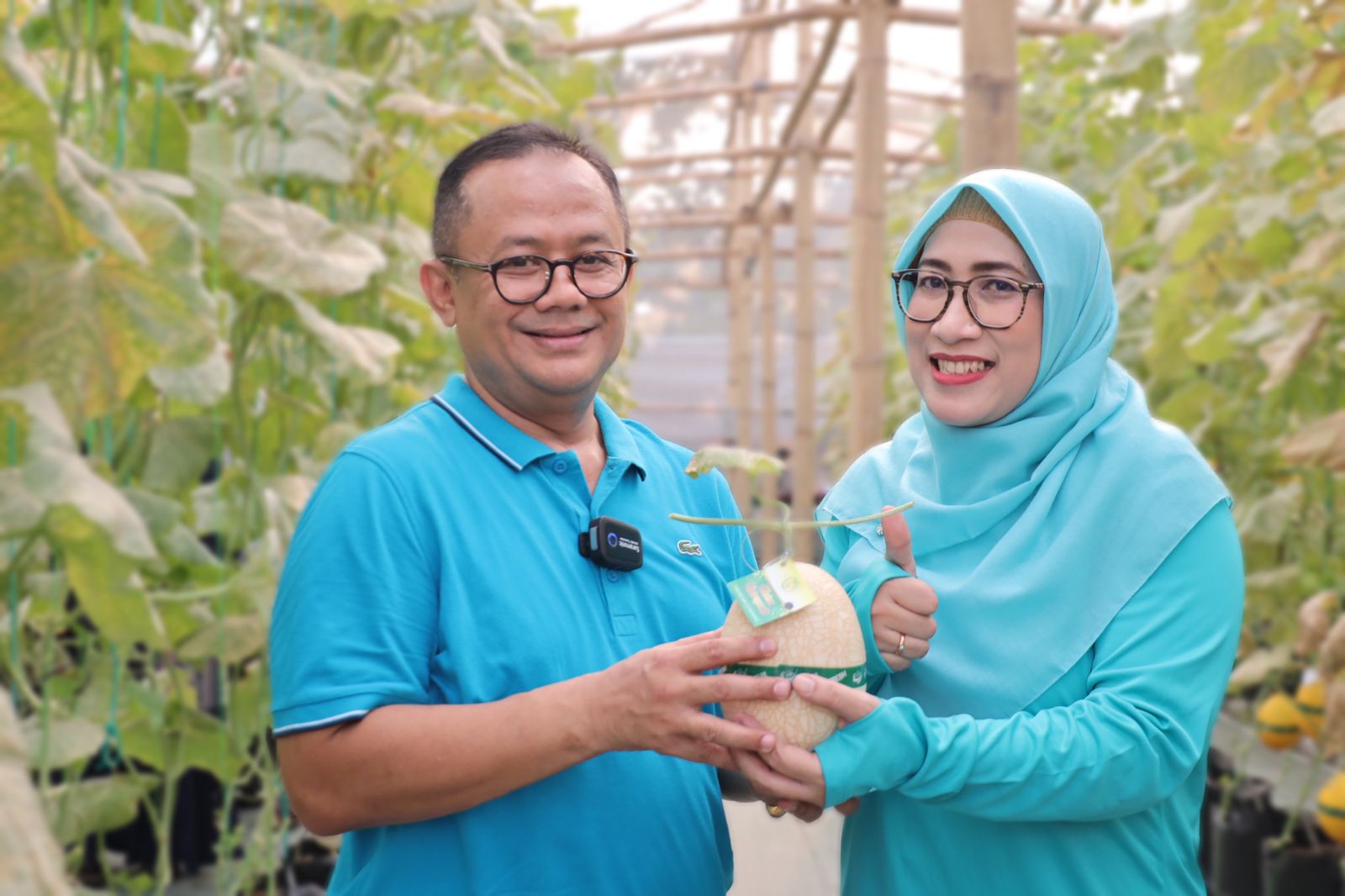 PJ Gani Dan Istri Panen Buah Melon Di Bekasi Utara