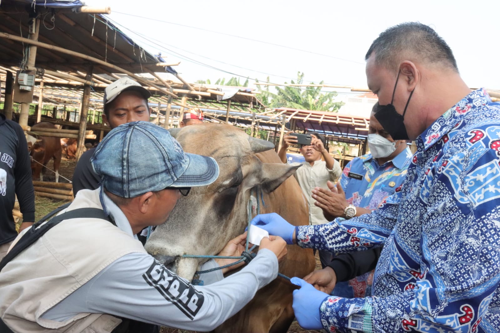 Pantau Kandang Hewan Qurban, Plt. Wali Kota Bekasi Pastikan Adanya Sertifikat Sehat Hewan Qurban