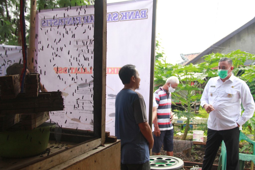 PETANI MAGOT  HASILKAN 12JUTA PERBULAN