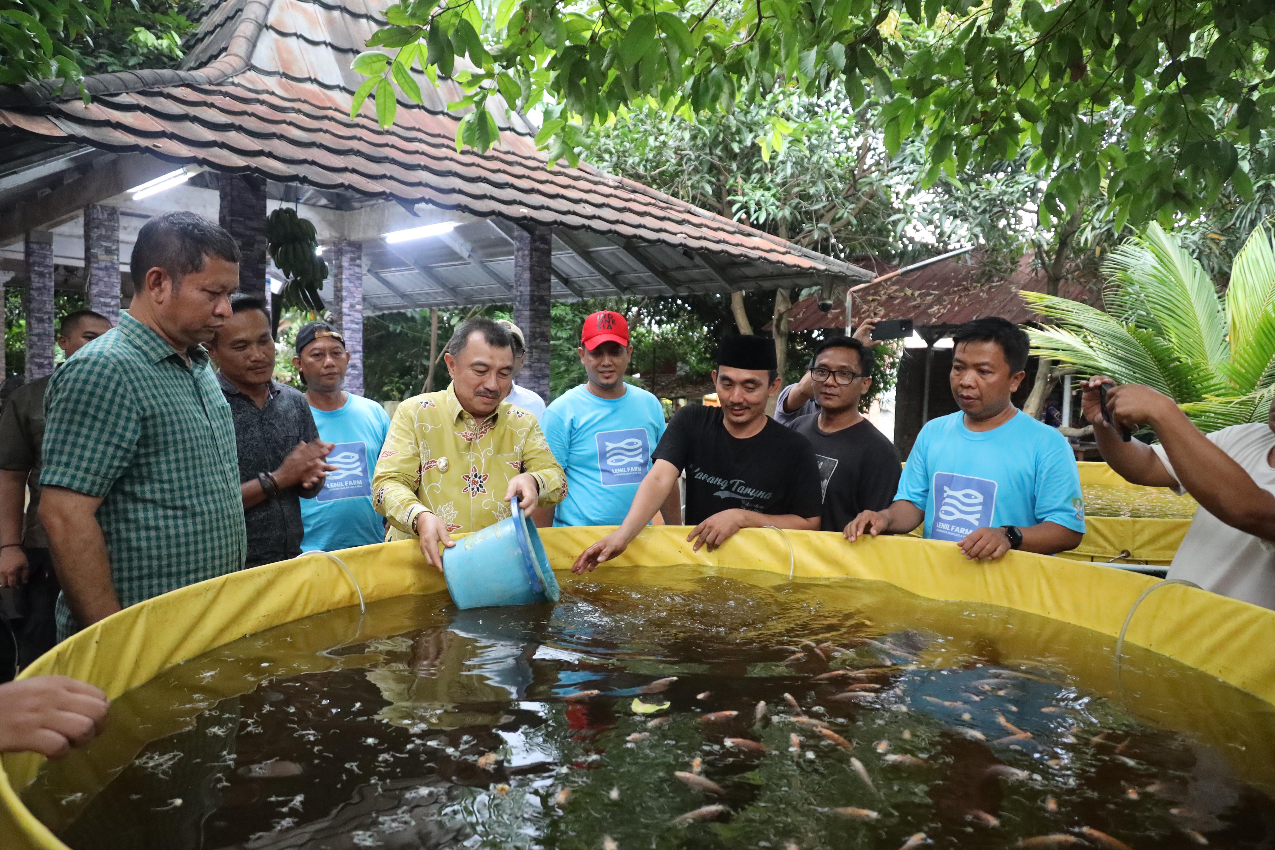 Wawali Harris Bobihoe Dukung Usaha Pemuda Di Sektor Perikanan Air Tawar