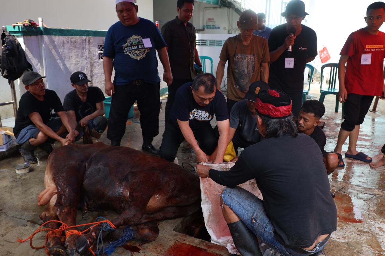 Wawali Harris Bobihoe Sembelih Langsung Sapi Kurban Bersama Warga Bekasi Jaya
