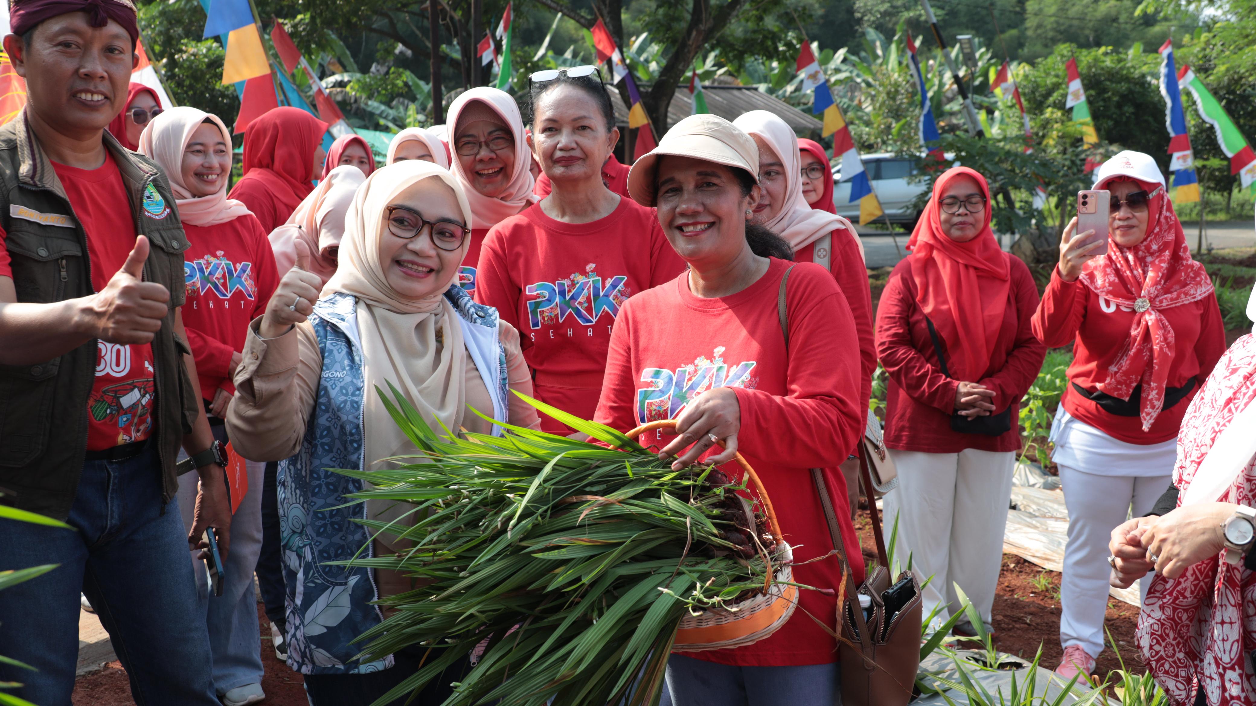 Kunjungan Urban Farming Bekasi Keren, Panen Bawang Dayak dan Pembukaan Lomba Masak Nasi Goreng